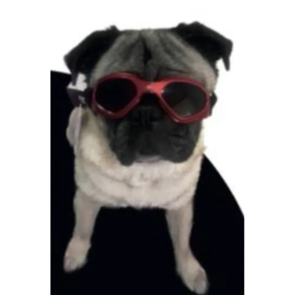 Gafas Protectoras Para Perros Talla S con filtro UV