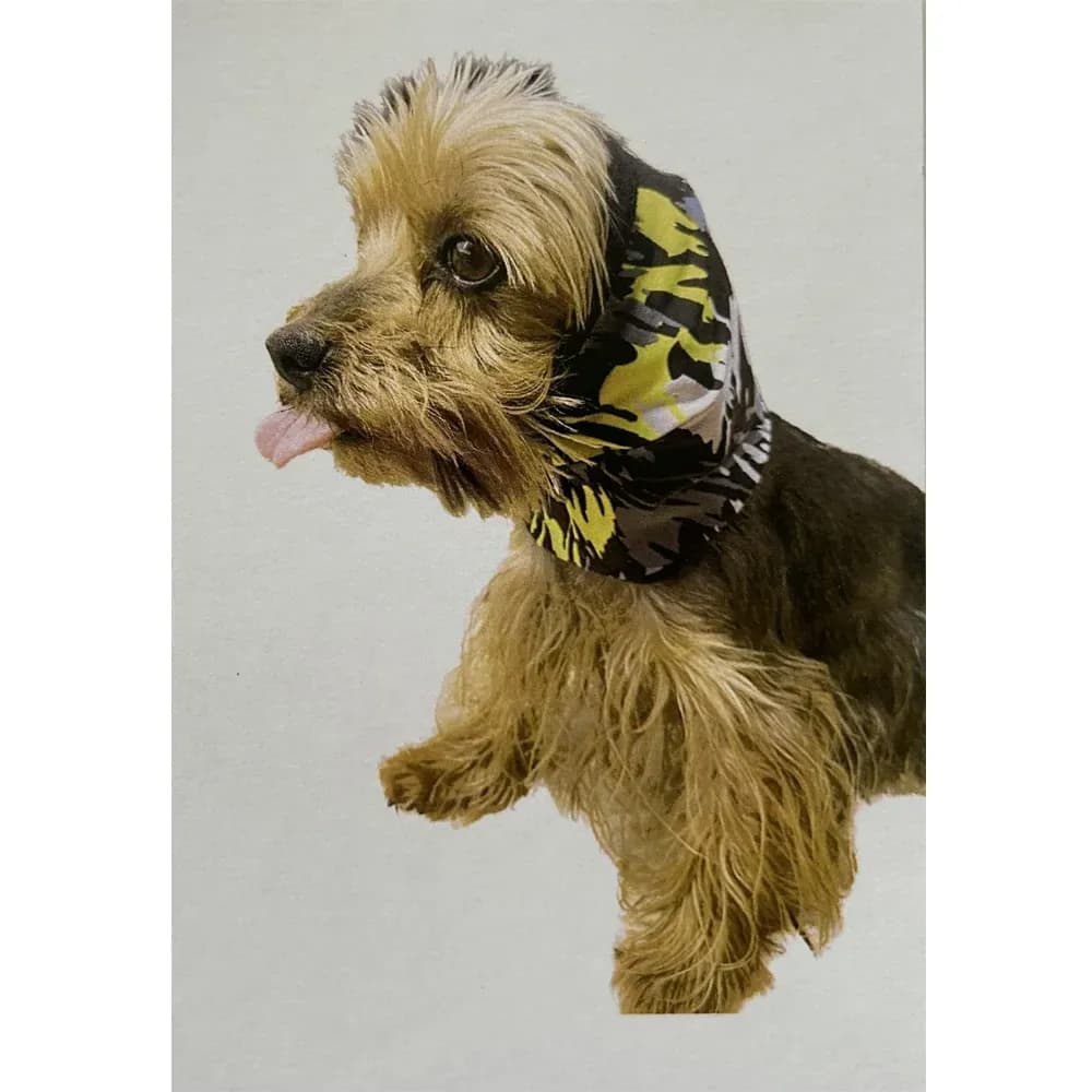 Protector de Orejas Talla XS