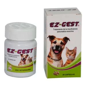 EZ-GEST x 30 Capsulas