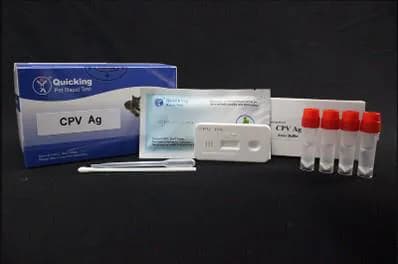 Pruebas Rapidas Test De Diagnostico Parvovirus Canino Caja x 10 Unidades