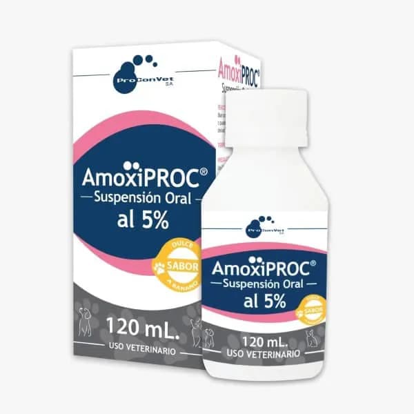 AmoxiProc Suspension oral al 5 % Frasco x 120 ml